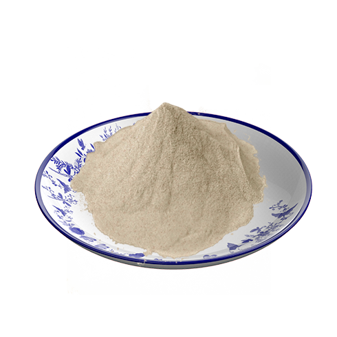 Sea salt flavoring powder